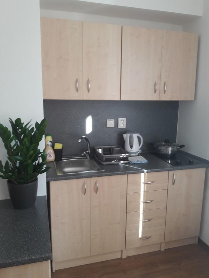 Apartmany Lipa Табор Экстерьер фото
